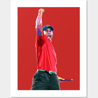 Tiger Woods Posters and Art